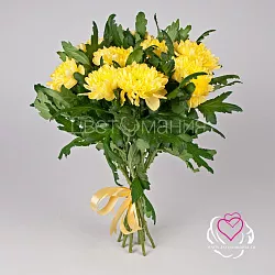 Купить Хризантема жёлтая в  с бесплатной доставкой: цена, фото, описание