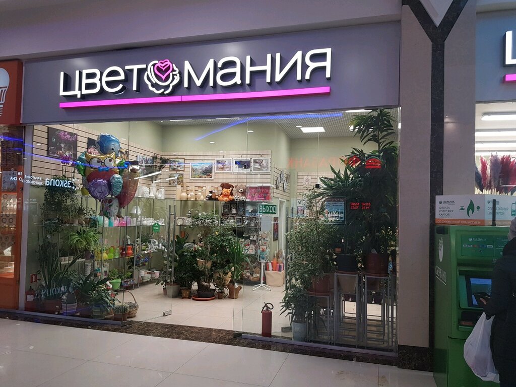 Магазин Рената Агзамова Во Владимире Адреса
