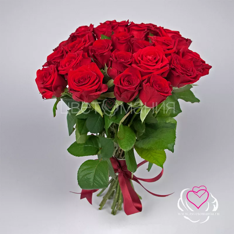 Ред Наоми 70 см