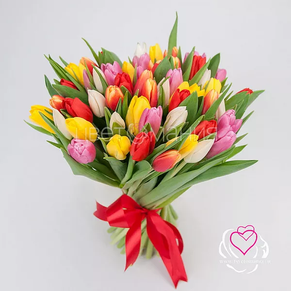Купить Тюльпан в ассортименте в Санкт-Петербурге с бесплатной доставкой: цена, фото, описание