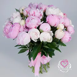 Купить Пионы розовые (Премиум) в Санкт-Петербурге с бесплатной доставкой: цена, фото, описание