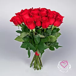 Купить Красная роза (Эквадор) 50 см в  с бесплатной доставкой: цена, фото, описание