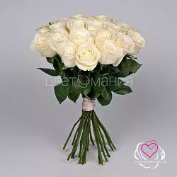 Купить Белая роза (Эквадор) 70 см в  с бесплатной доставкой: цена, фото, описание