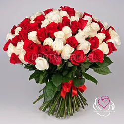 Купить 101 белая и красная роза 50 см Premium в Санкт-Петербурге с бесплатной доставкой: цена, фото, описание