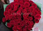 Купить Букет из 51 красной розы 50 см (Россия) в упаковке в Санкт-Петербурге с бесплатной доставкой: цена, фото, описание