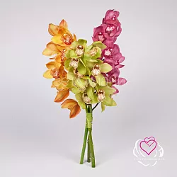 Купить Орхидея Цимбидиум в Санкт-Петербурге с бесплатной доставкой: цена, фото, описание