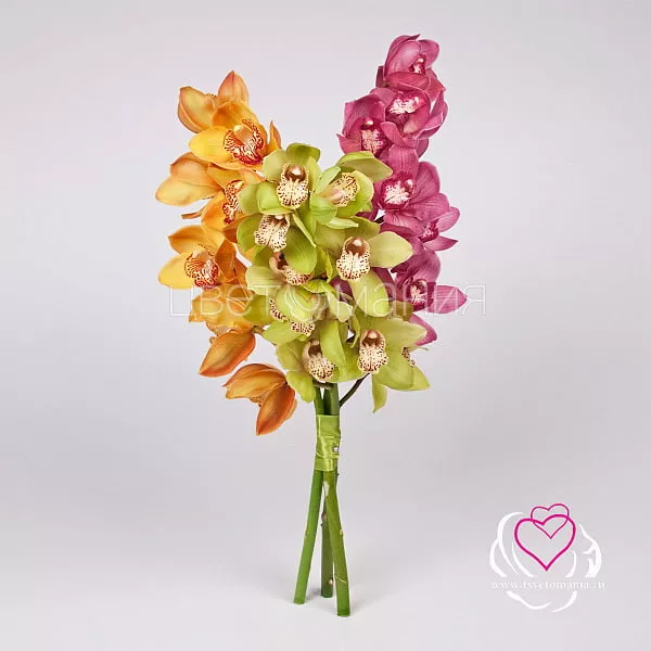 Купить Орхидея Цимбидиум в  с бесплатной доставкой: цена, фото, описание