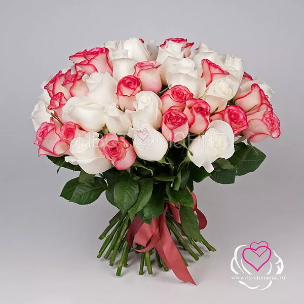 Купить Букет «51 белая и розовая роза Premium»  (Эквадор) в Санкт-Петербурге с бесплатной доставкой: цена, фото, описание