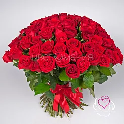 Купить 101 красная роза (Россия) 50 см в  с бесплатной доставкой: цена, фото, описание