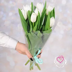 Купить Букет 7 белых тюльпанов в плёнке в  с бесплатной доставкой: цена, фото, описание