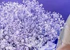 Купить Букет из сиреневых гипсофил в  с бесплатной доставкой: цена, фото, описание