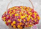 Купить Корзина из 501 розы микс (Эквадор) в  с бесплатной доставкой: цена, фото, описание
