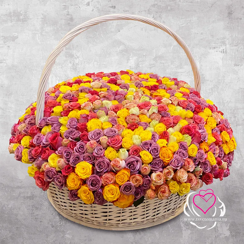 Корзина из 501 розы микс (Эквадор)