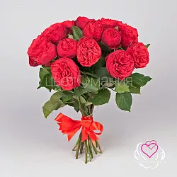 Купить Пионовидная роза Ред Пиано в Санкт-Петербурге с бесплатной доставкой: цена, фото, описание