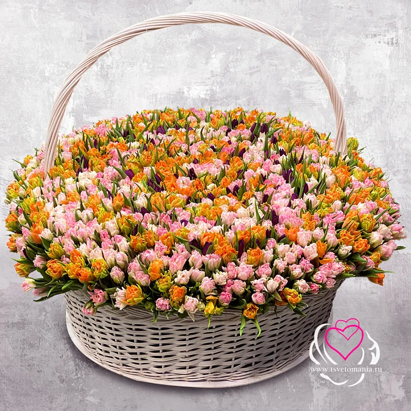 Корзина из 1001 тюльпана микс