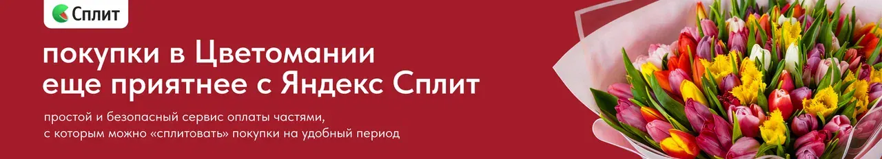 баннер яндекс сплит