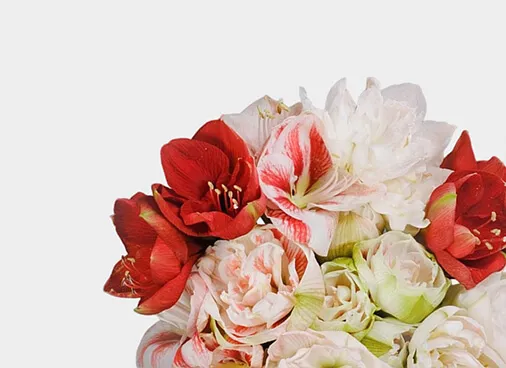 Букеты цветов