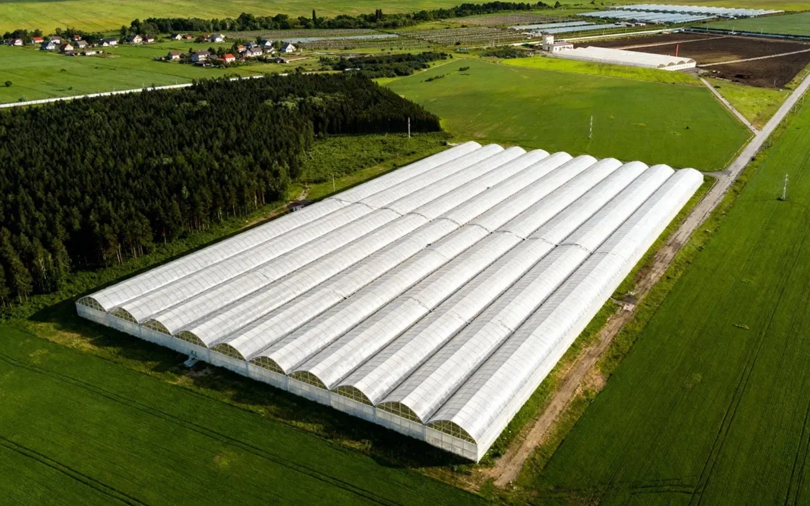 Тепличный комплекс Цветомании