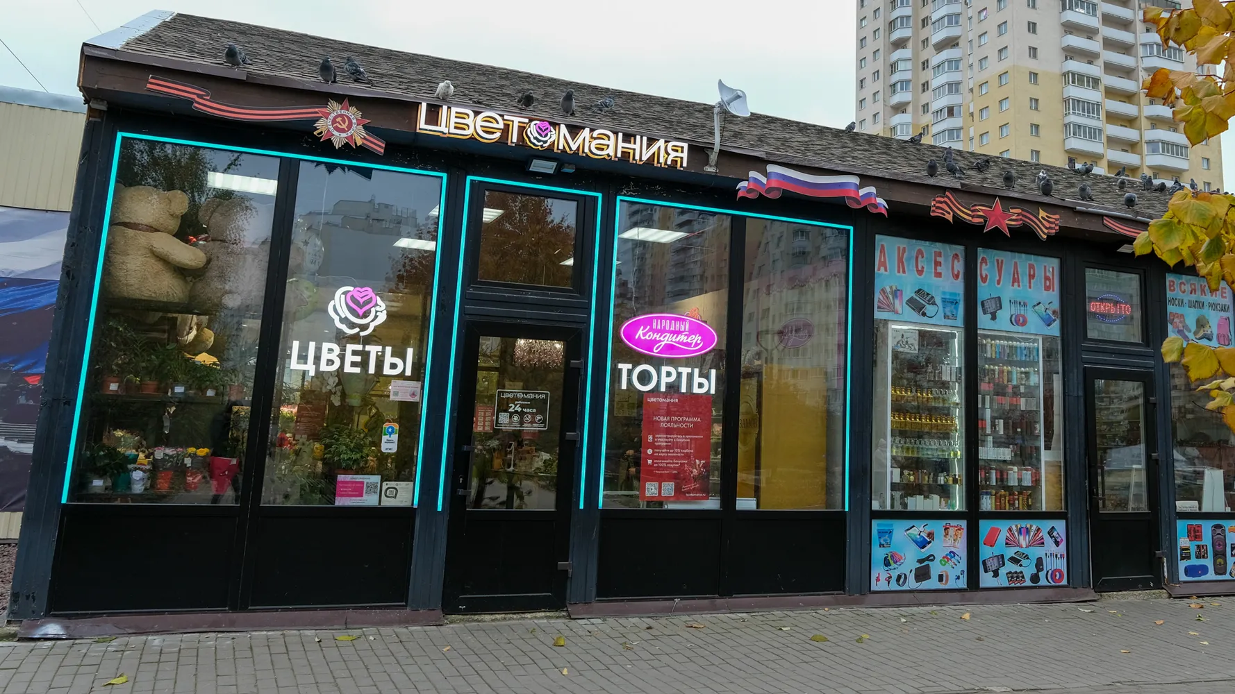 Окуловская, 2Ж (Шушары)