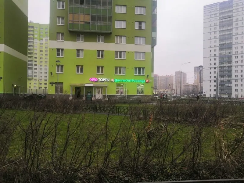 Муринская дорога, д. 78, лит. А