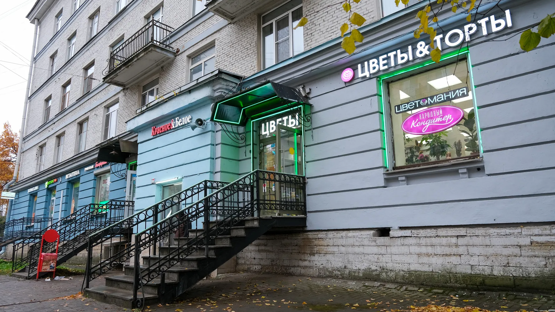 Елизарова, 12
