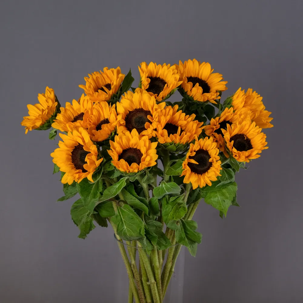Охапка подсолнухов