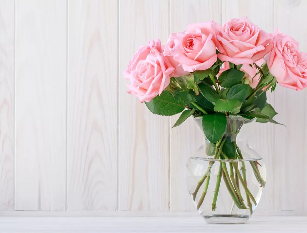 Как правильно подкармливать розы в вазе.