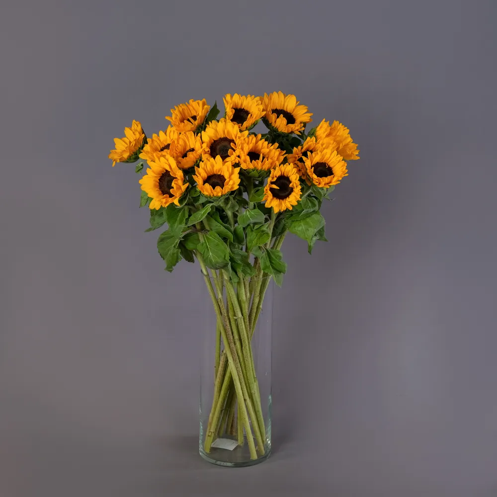 Охапка подсолнухов