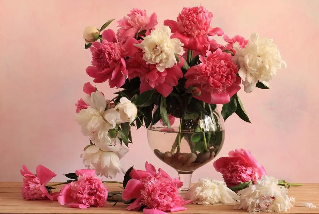 Простые советы как ухаживать за букетом пионов в вазе