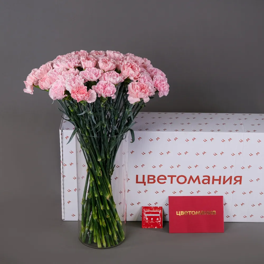 Охапка розовых гвоздик 