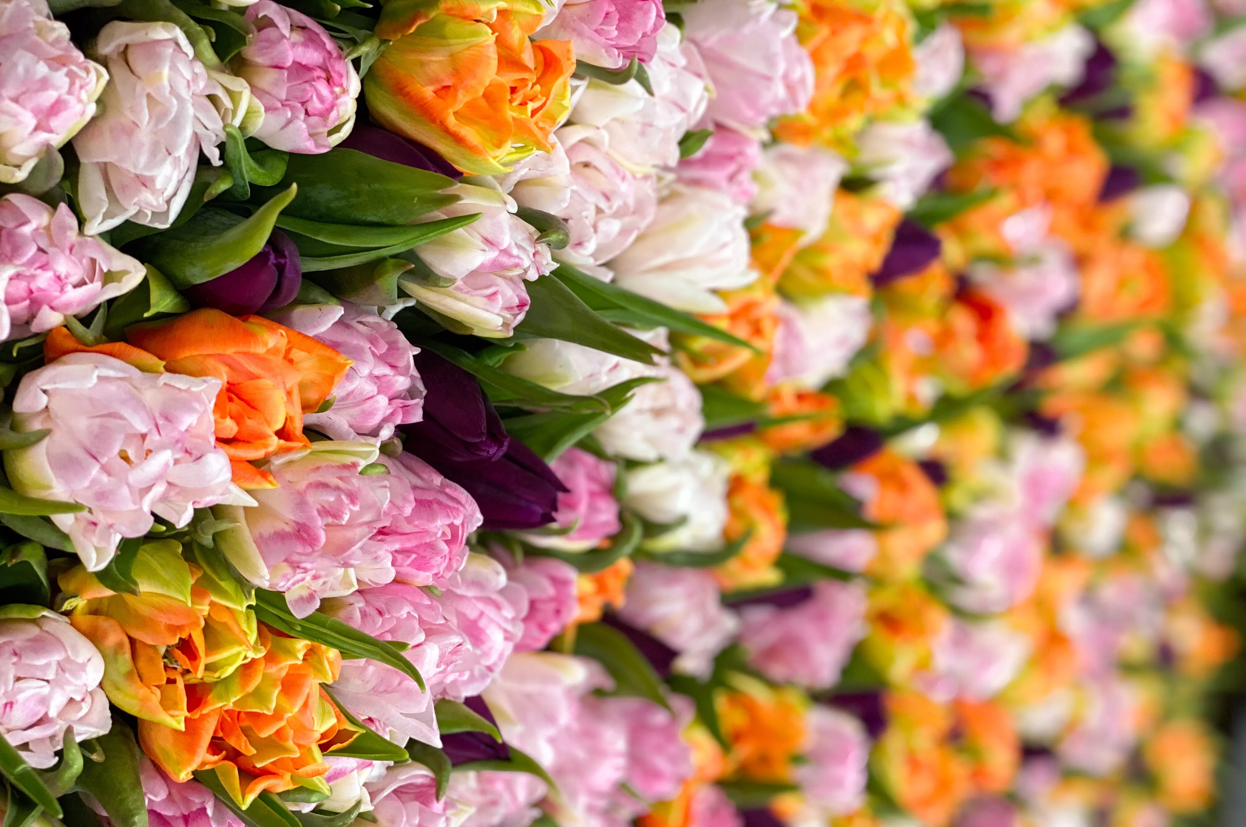 Мужские ошибки при выборе букета