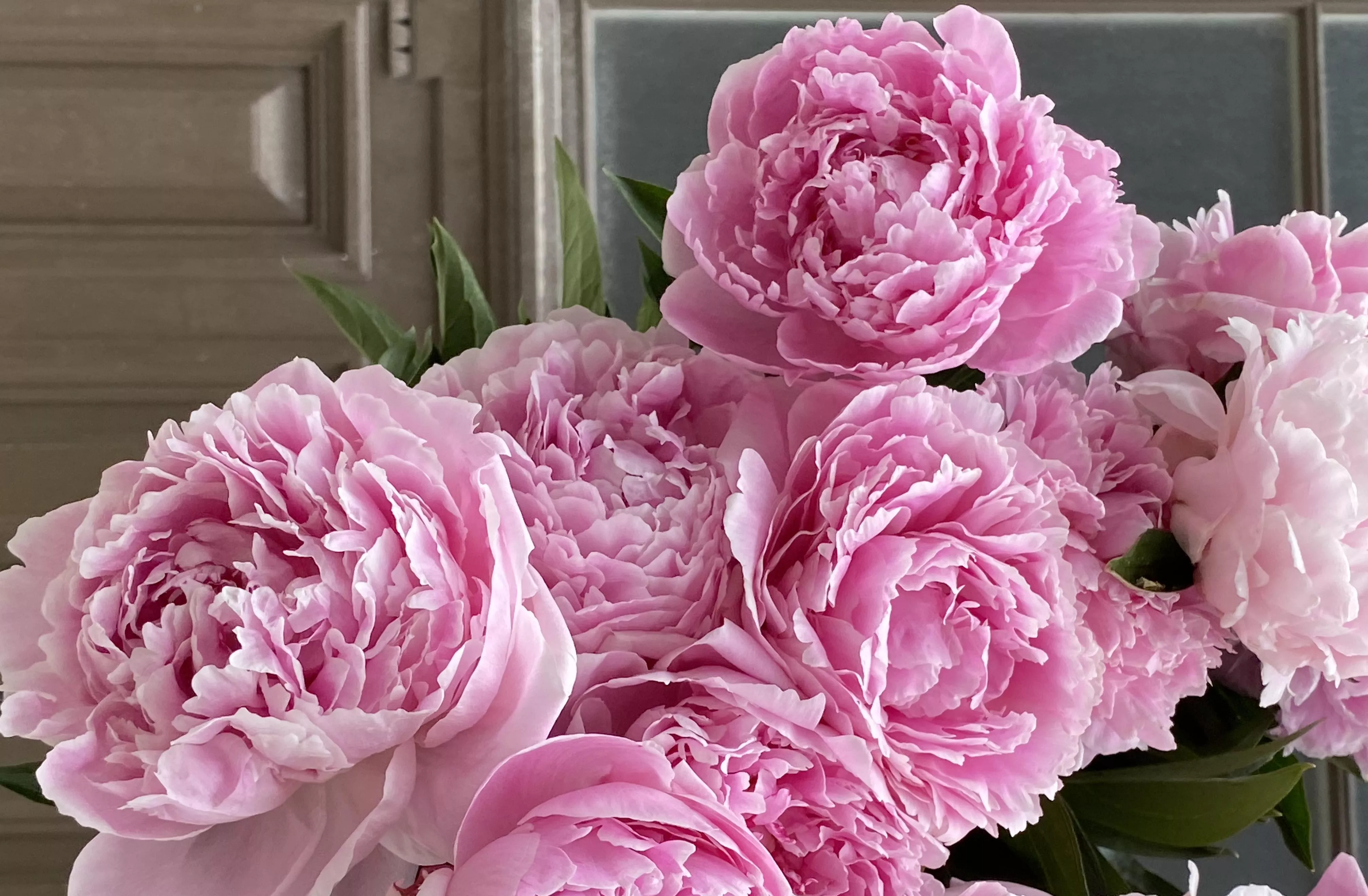 Какие цветы подходят Близнецам?