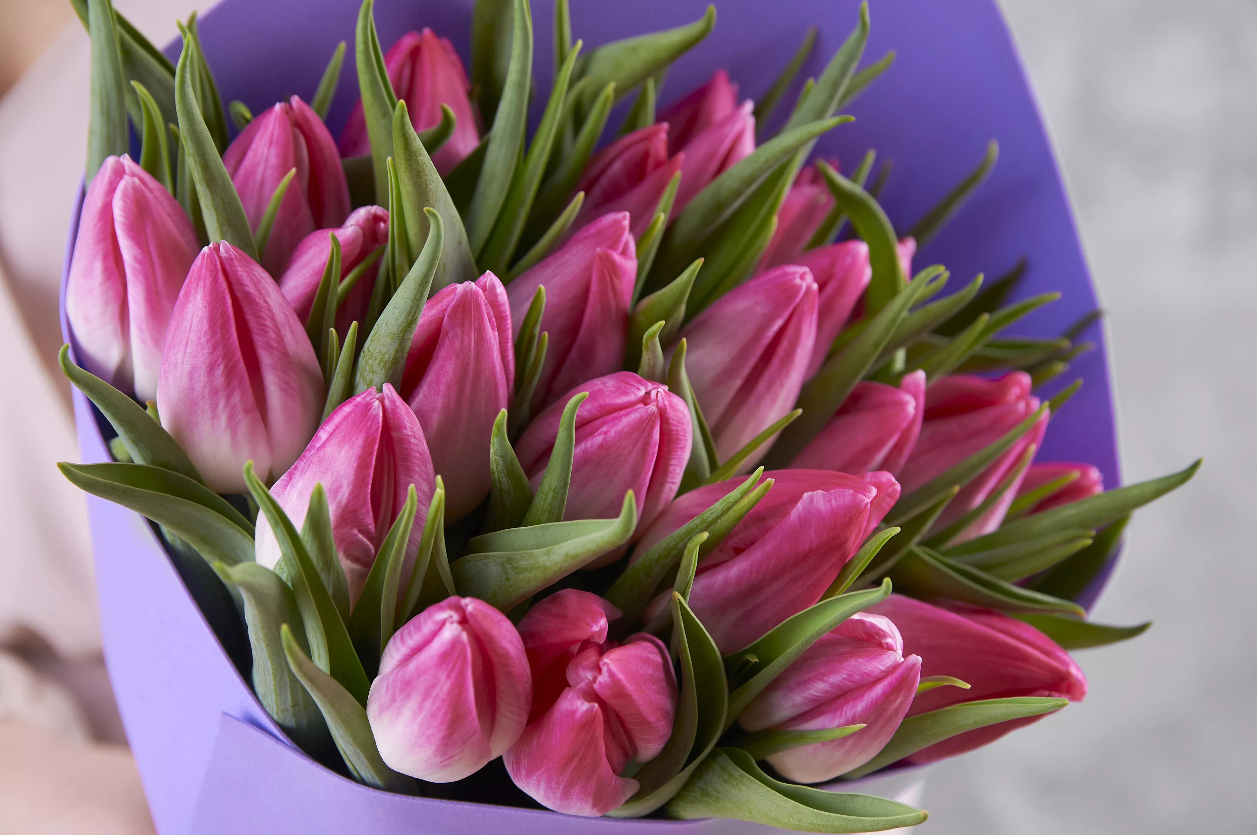 Какой цветок подходит по знаку зодиака?