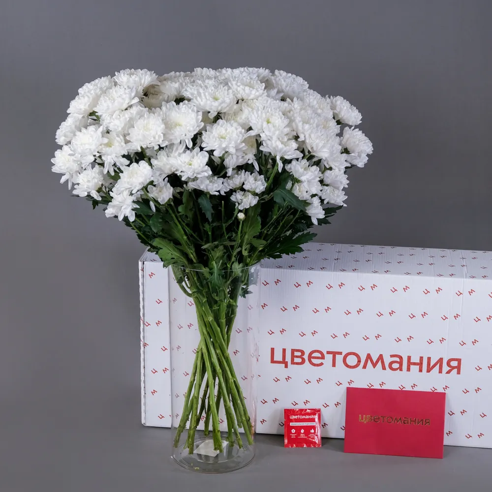 Охапка белых кустовых хризантем
