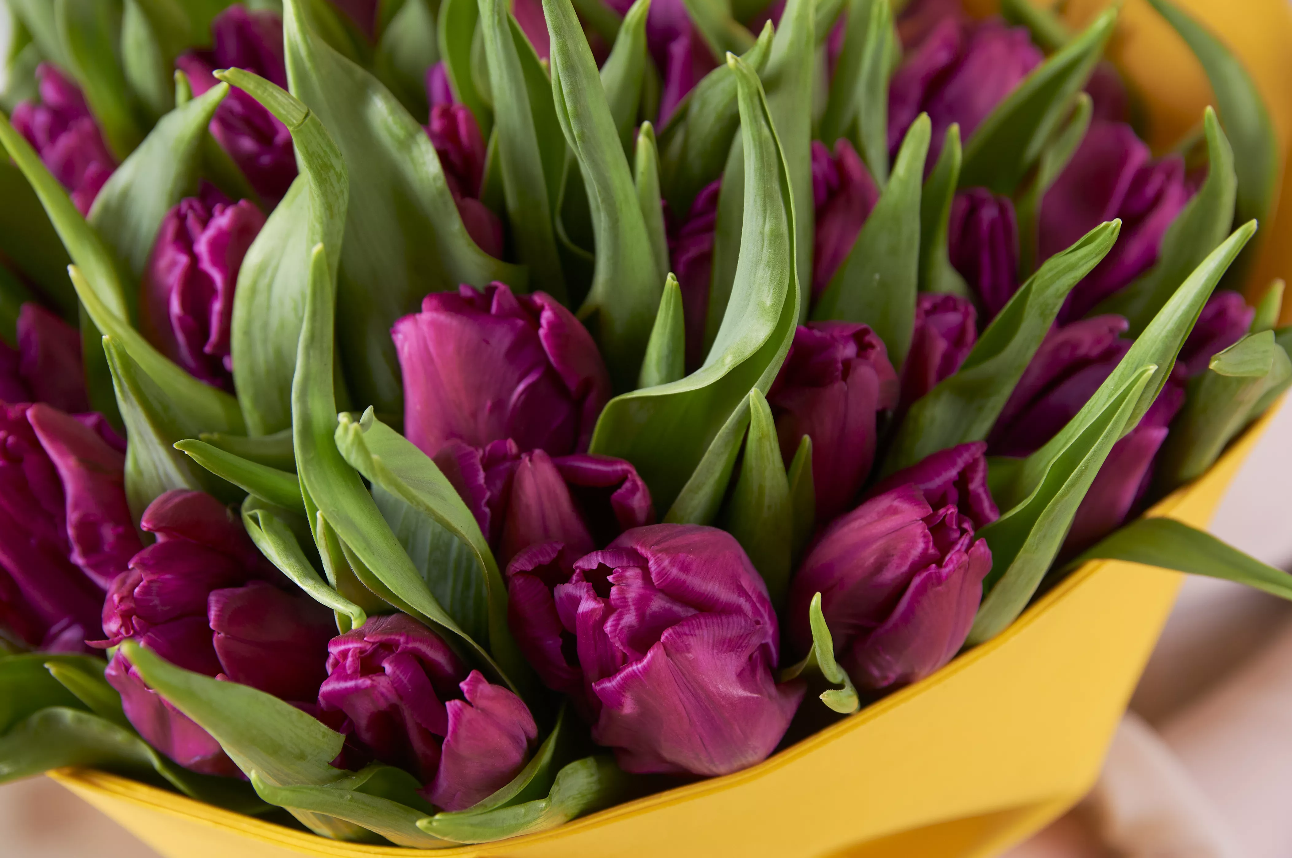 Какой букет подарить на защите диплома преподавателю?