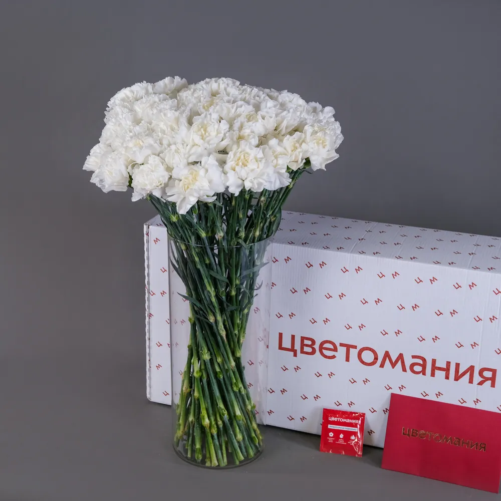 Охапка белых гвоздик 