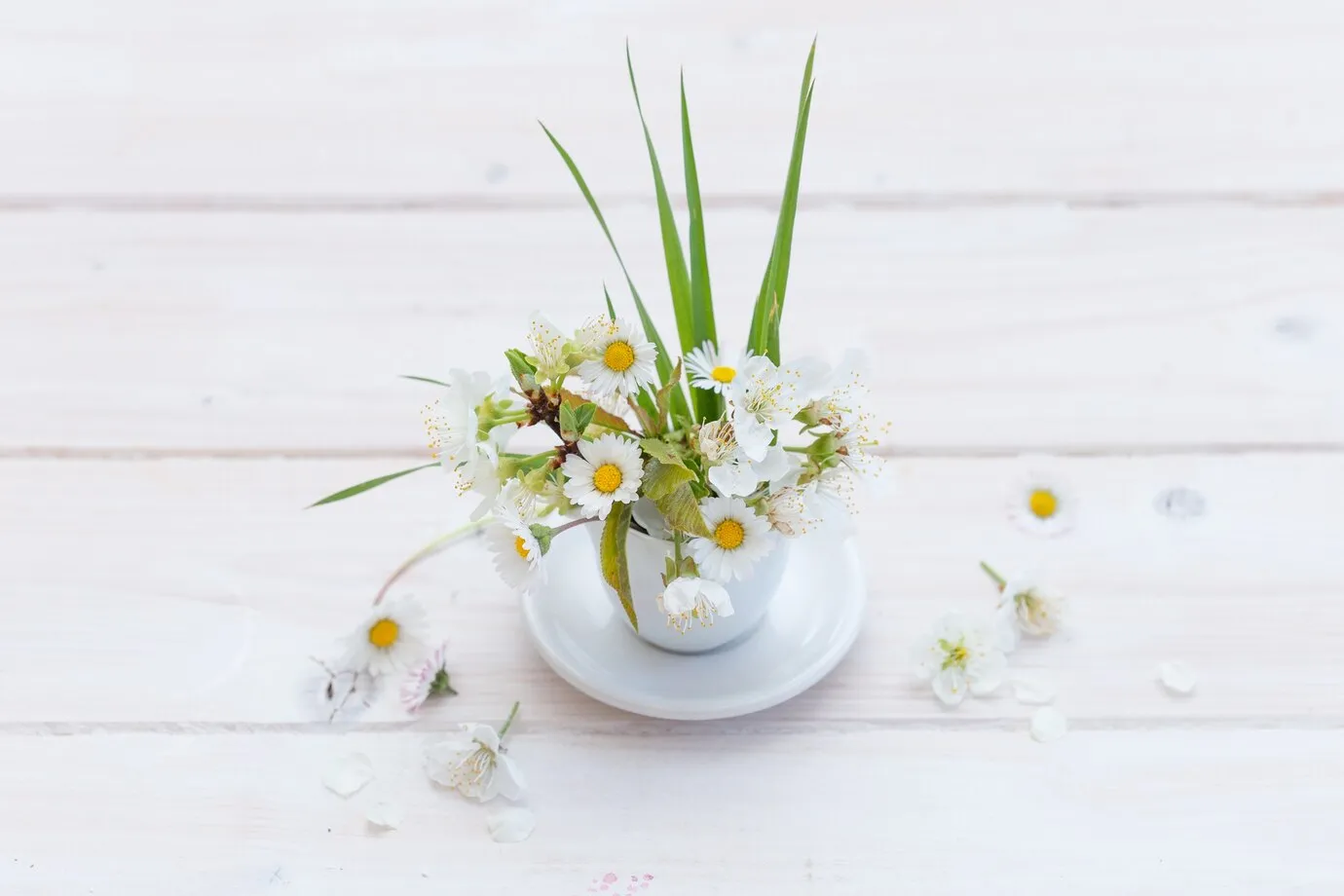 Как выбрать букет ромашек