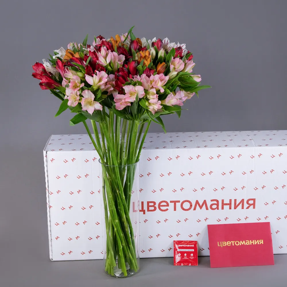 Охапка альстромерий