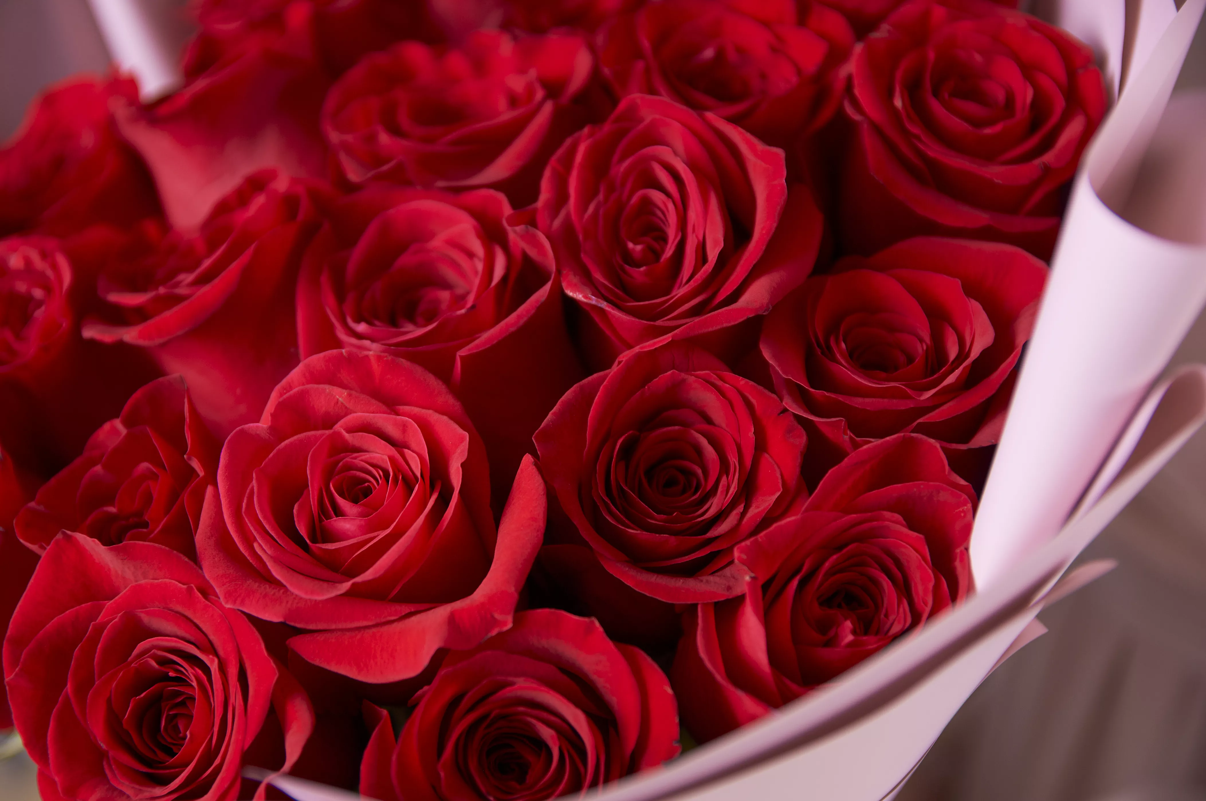 С какими цветами делать предложение руки и сердца?