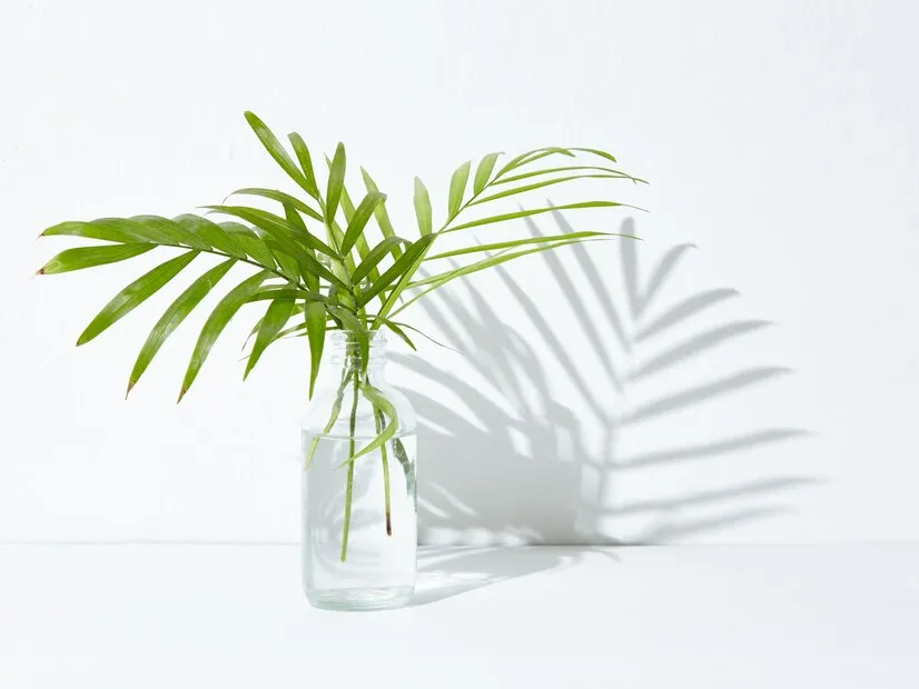 green-houseplant-glass-jar_181624-13295.jpg