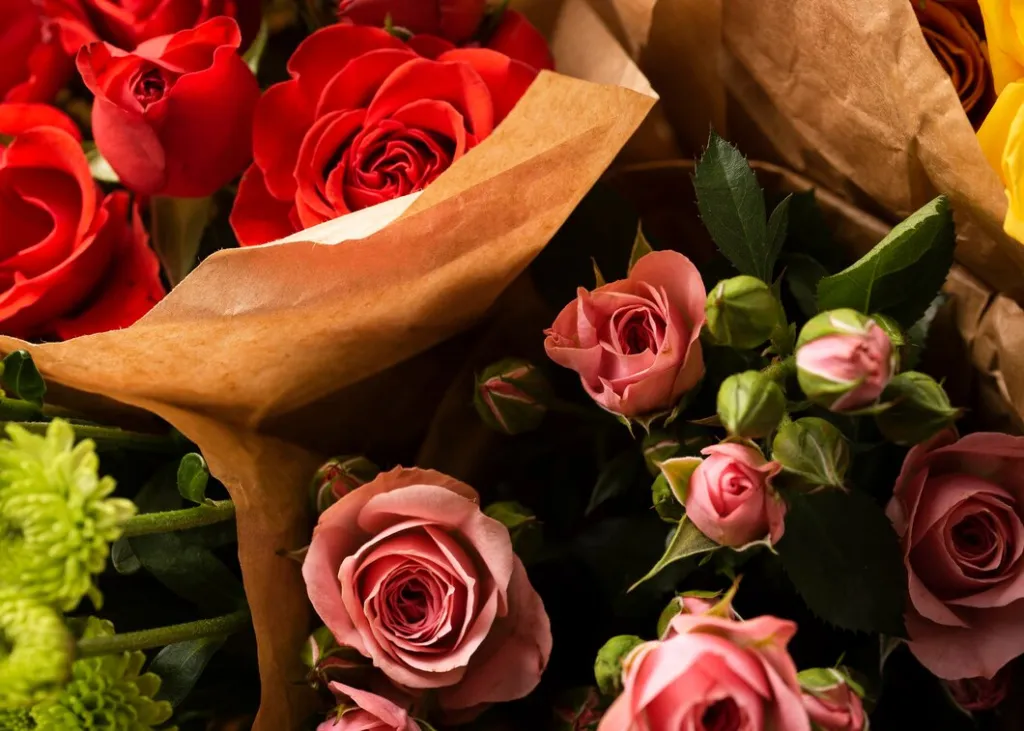 flat-lay-beautifully-bloomed-colorful-rose-flowers_23-2149005548.jpg