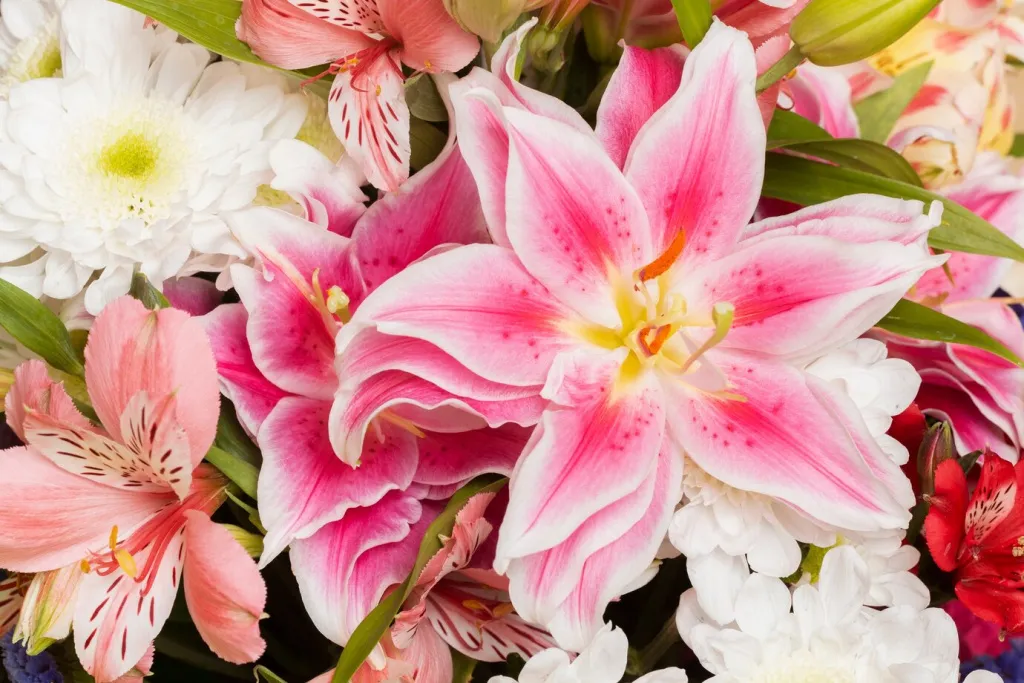gorgeous-arrangement-flowers-background_23-2149057033.jpg