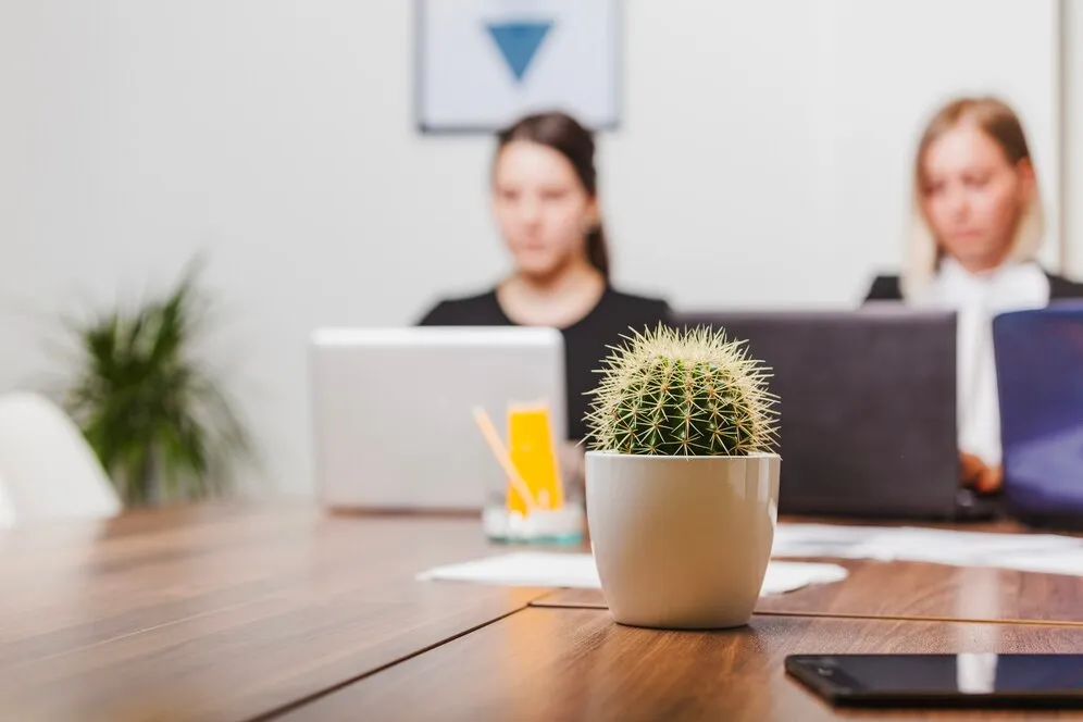 cactus-office-table_23-2147650827.jpg