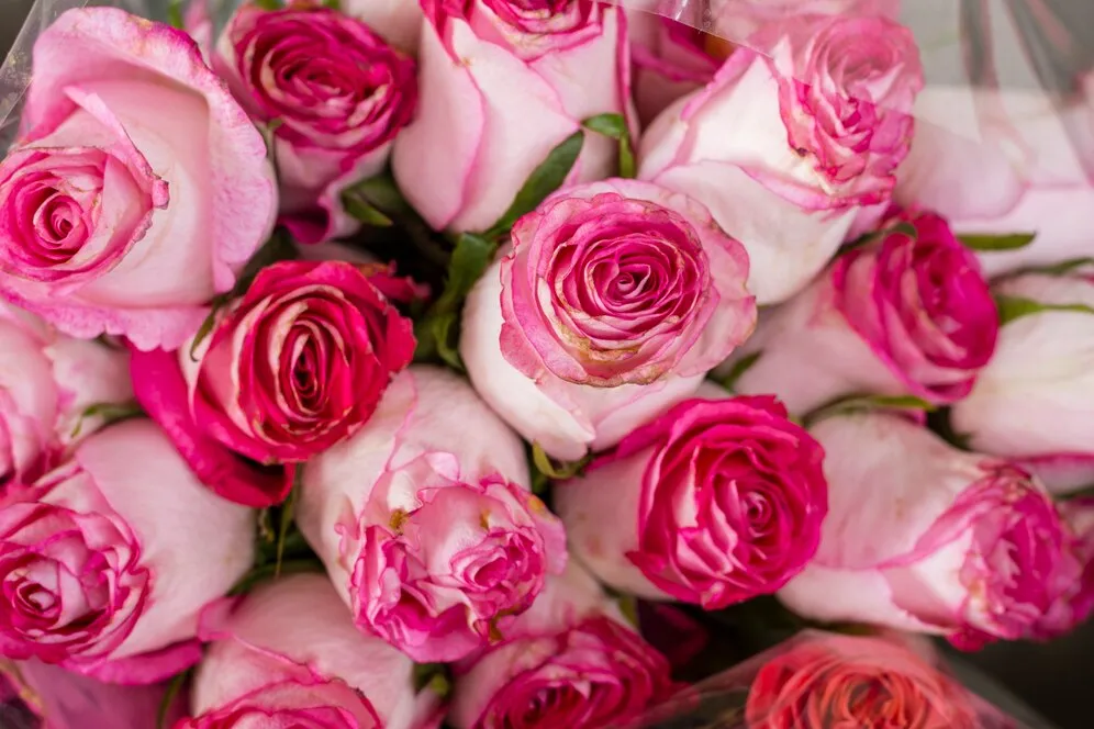 close-up-beautiful-bunch-roses_23-2148387903.jpg