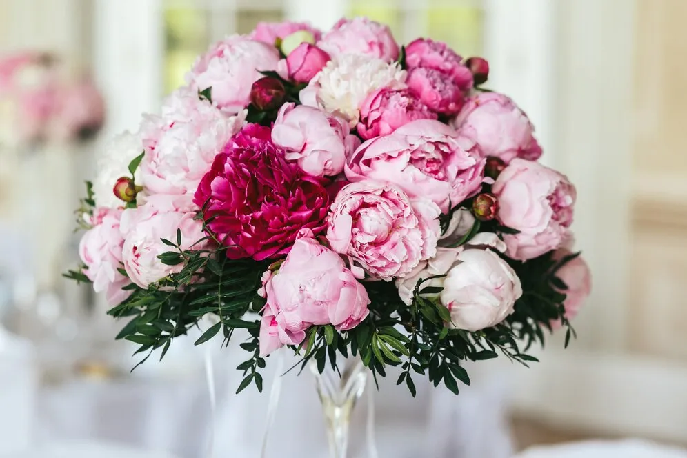 closeup-bouquet-made-white-pink-peonies_8353-1732.jpg closeup-bouquet-made-white-pink-peonies_8353-1732.jpg