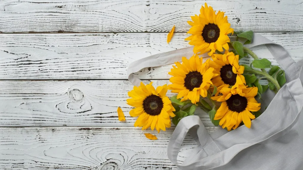 top-view-sunflowers-frame-with-copy-space_23-2150250813.jpg