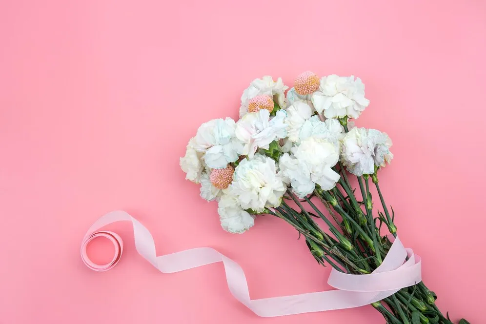bouquet-white-carnations-pink-background-isolated-flat-lay_169016-26846.jpg bouquet-white-carnations-pink-background-isolated-flat-lay_169016-26846.jpg