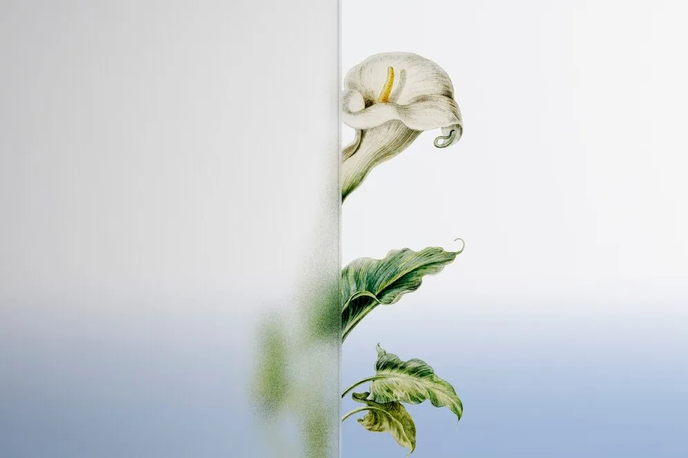 nature-background-with-flower-patterned-glass_53876-125859.jpg