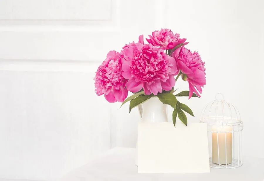 white-paper-invitation-text-peonies-vas_1182-1111.jpg white-paper-invitation-text-peonies-vas_1182-1111.jpg
