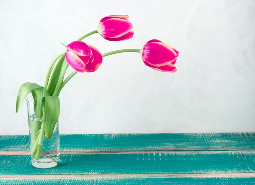 pink-tulips-glass-vase-table_23-2148103176.jpg